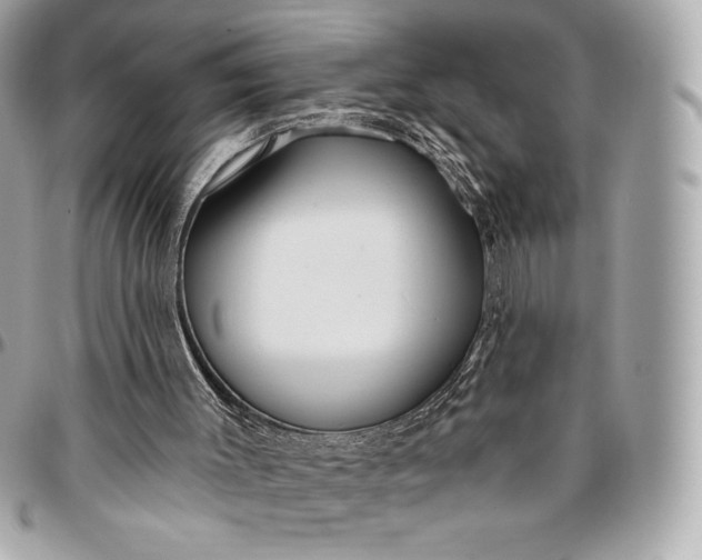 X0000096430003200802071736