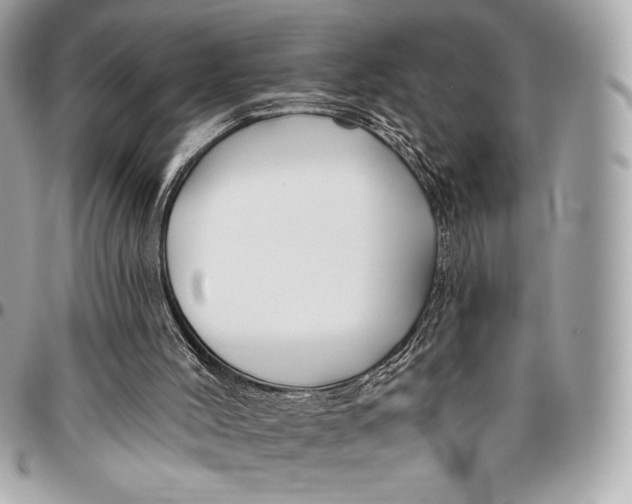 X0000096430004200802071736