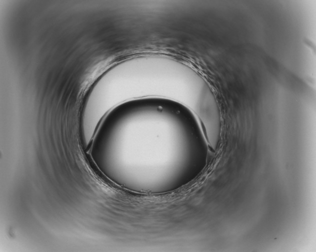 X0000096430005200802071736