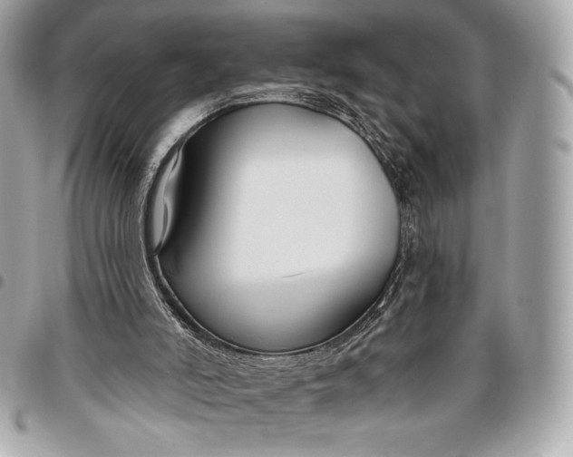 X0000096430006200802071736