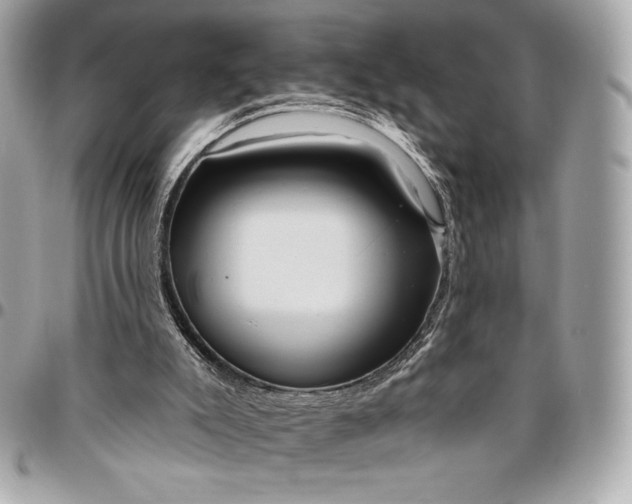 X0000096430007200802071736