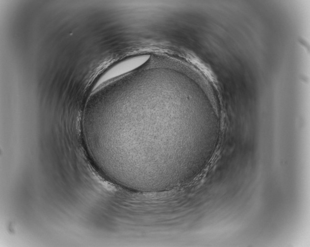 X0000096430009200802071736