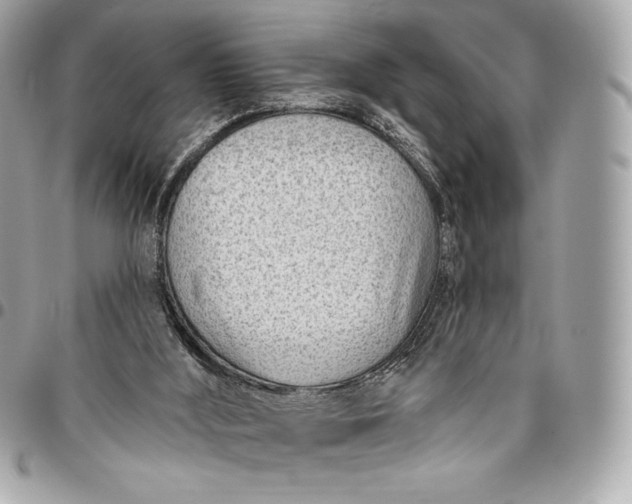X0000096430012200802071736