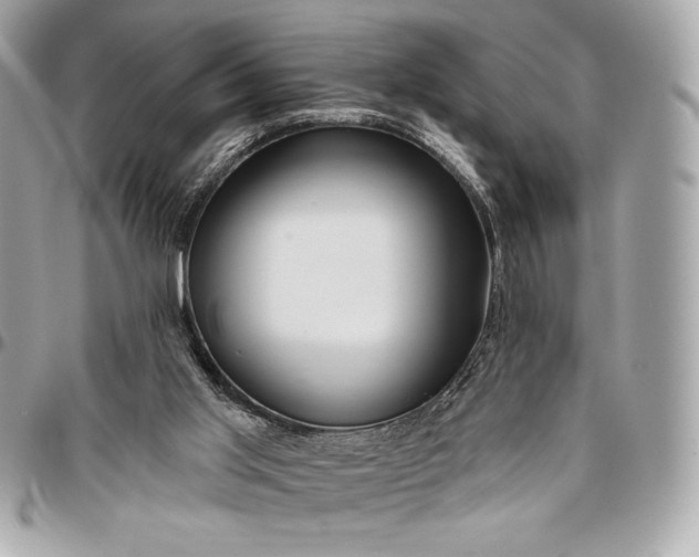 X0000096430013200802071736