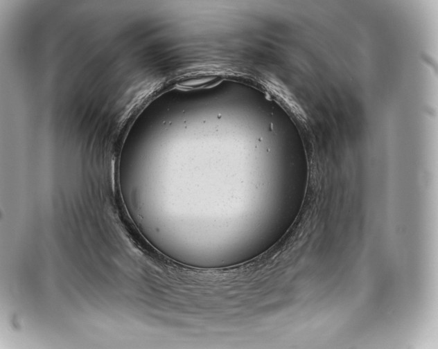 X0000096430014200802071736