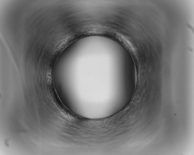 X0000096430017200802071736