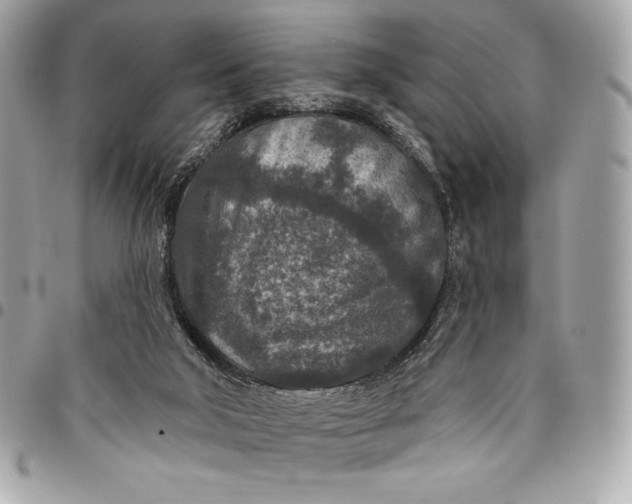X0000096430018200802071736