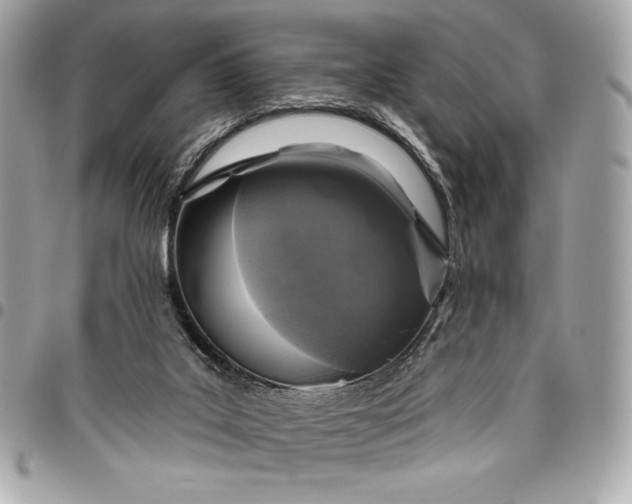X0000096430019200802071736