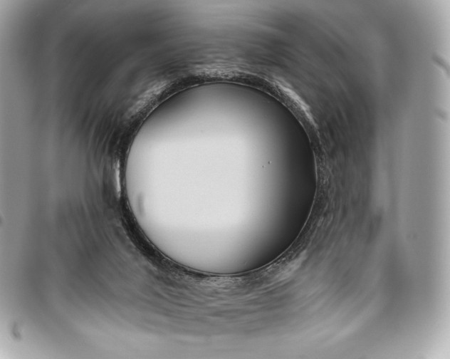 X0000096430020200802071736