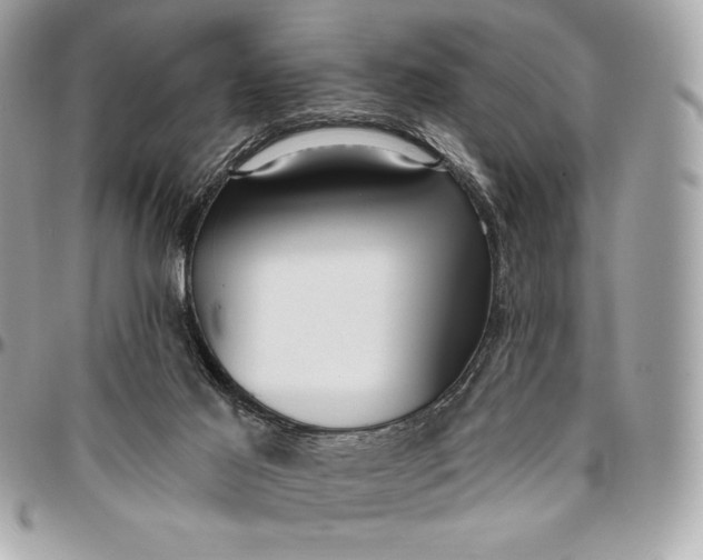 X0000096430021200802071736