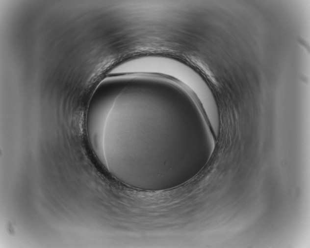 X0000096430023200802071735