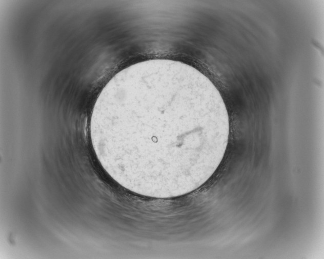 X0000096430024200802071735