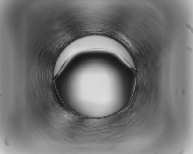 X0000096430025200802071735