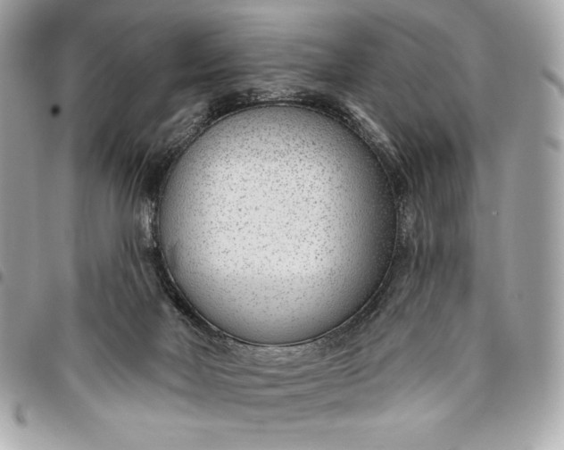 X0000096430026200802071735