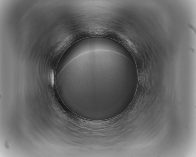 X0000096430027200802071735