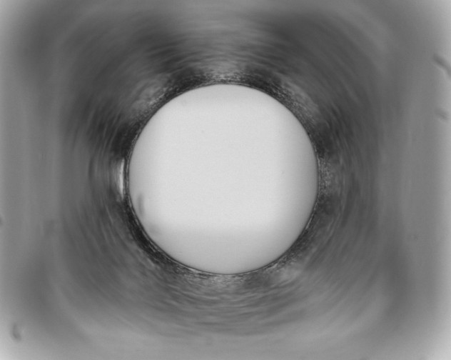 X0000096430028200802071735