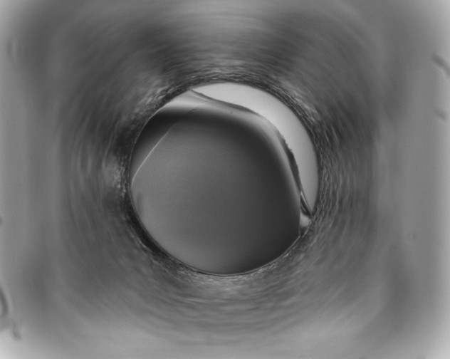 X0000096430031200802071735