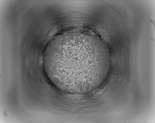 X0000096430032200802071735