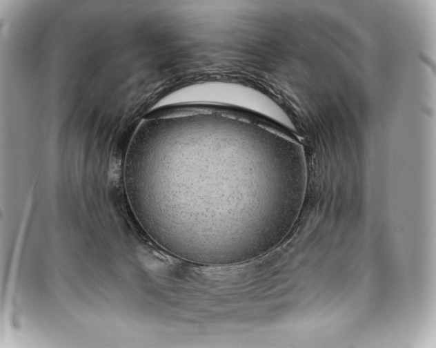 X0000096430033200802071735