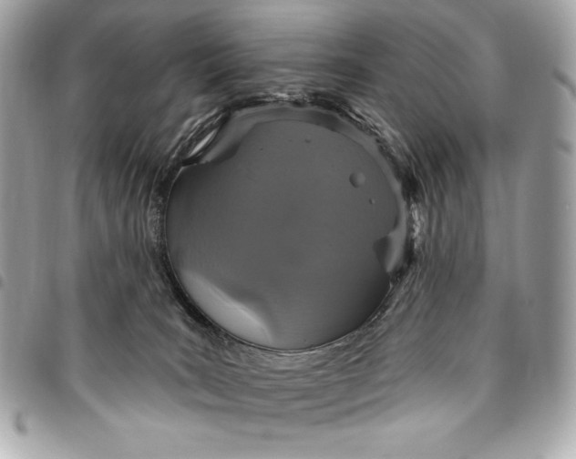 X0000096430035200802071735