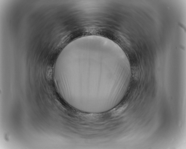 X0000096430036200802071735