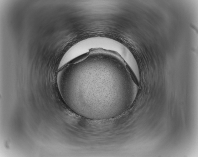 X0000096430037200802071735