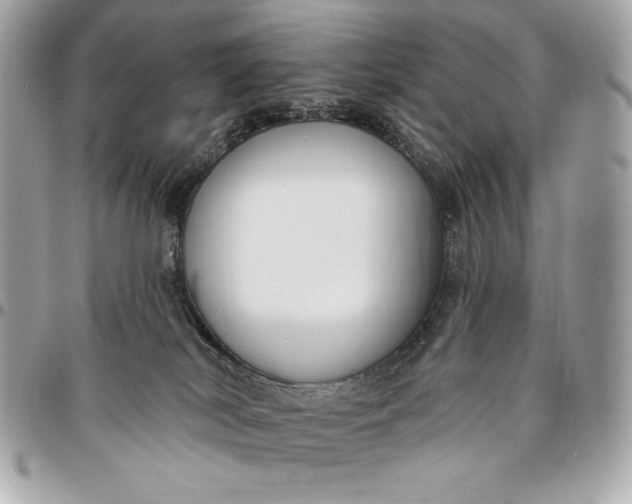 X0000096430038200802071735