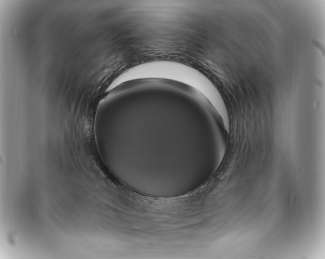 X0000096430039200802071735
