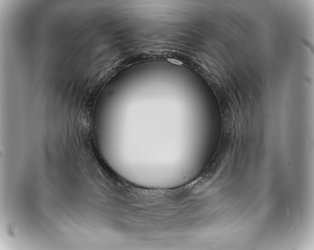 X0000096430040200802071735