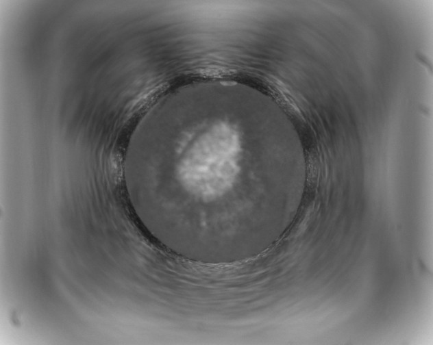 X0000096430043200802071735