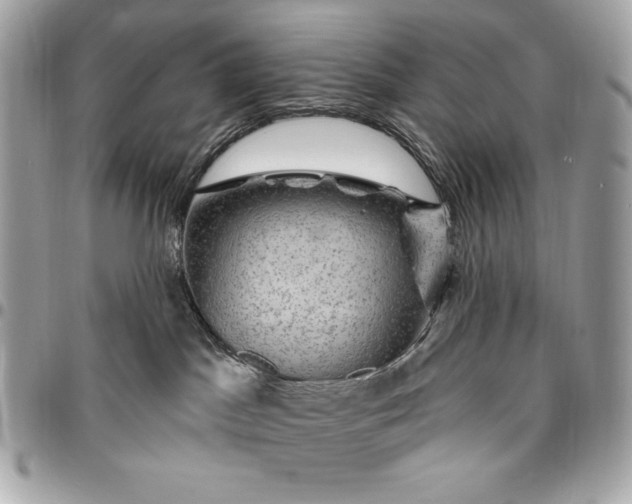 X0000096430045200802071735