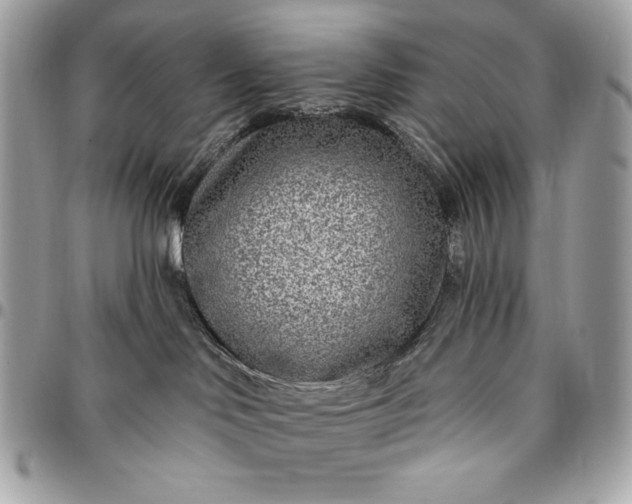 X0000096430046200802071735