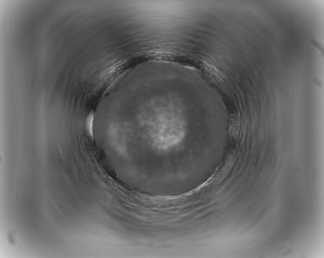 X0000096430047200802071735