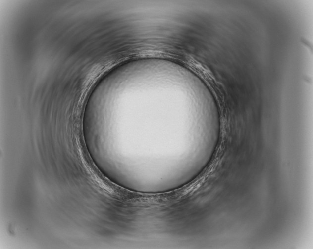 X0000096430049200802071734