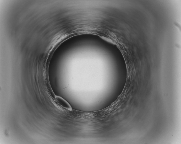 X0000096430050200802071734