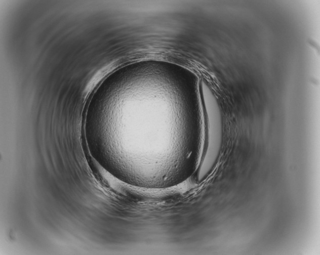 X0000096430051200802071734