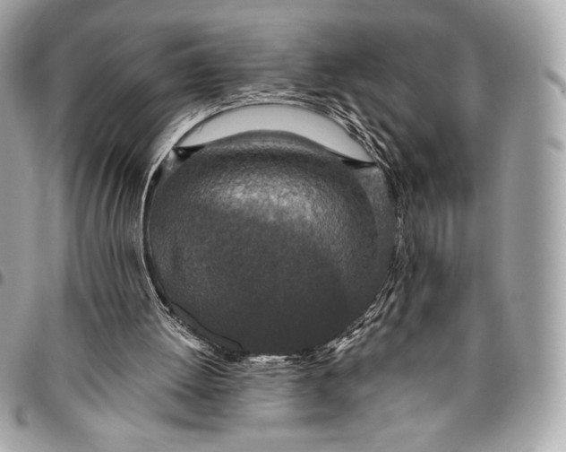 X0000096430052200802071734