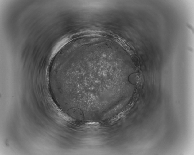 X0000096430053200802071734
