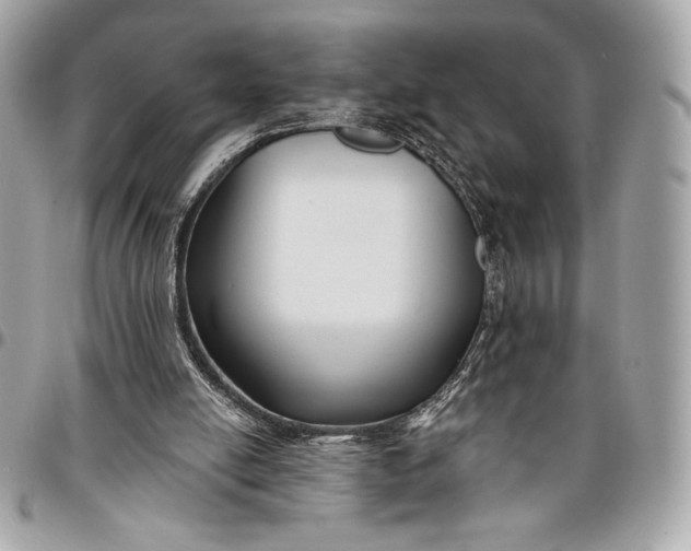 X0000096430054200802071734