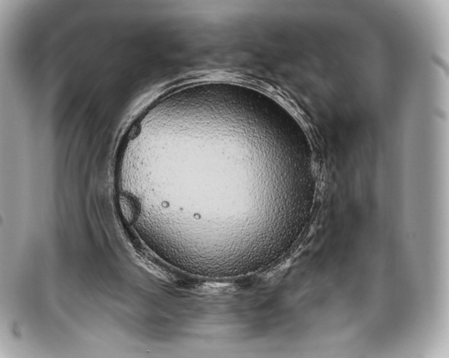 X0000096430055200802071734