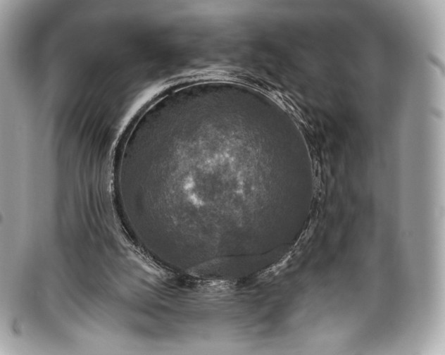 X0000096430056200802071734