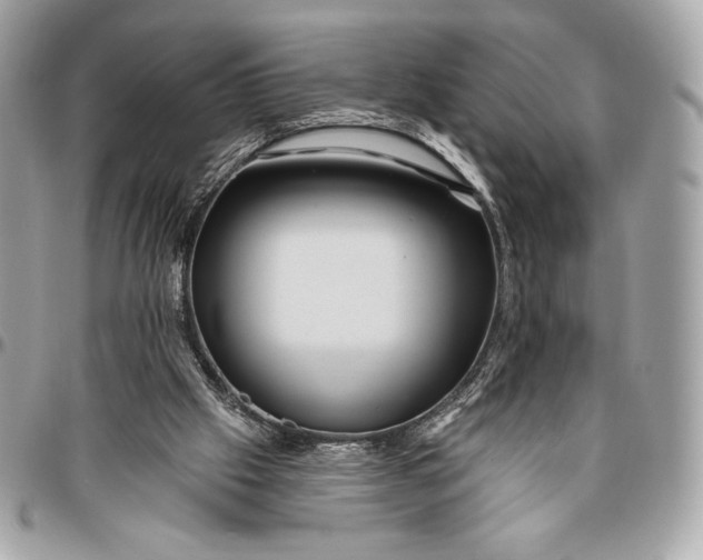 X0000096430057200802071734