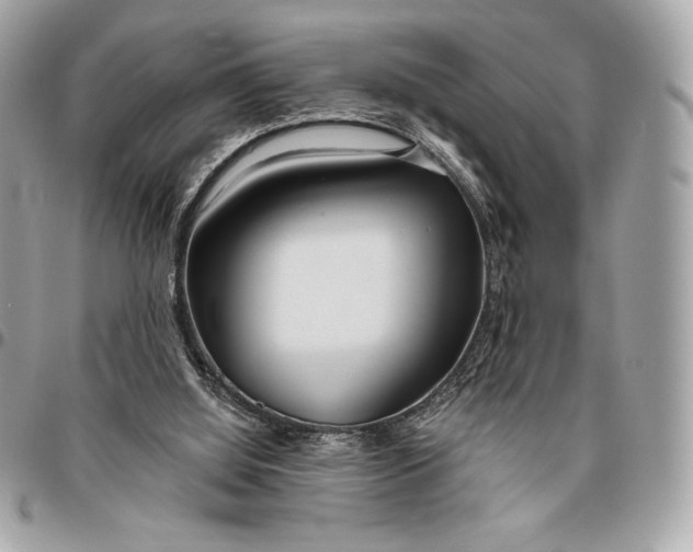X0000096430060200802071734