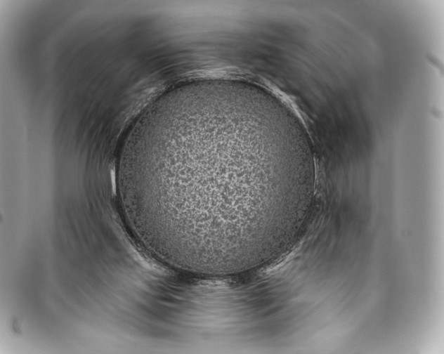 X0000096430061200802071735