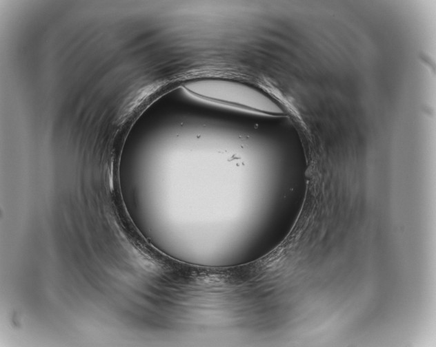 X0000096430062200802071735