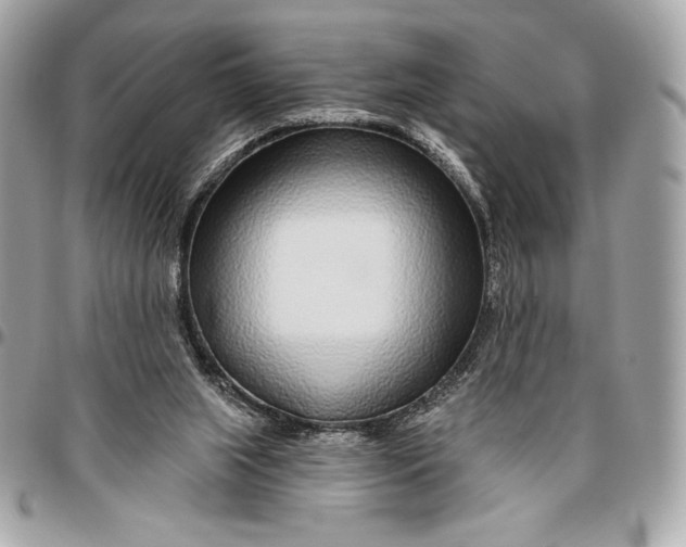 X0000096430063200802071735
