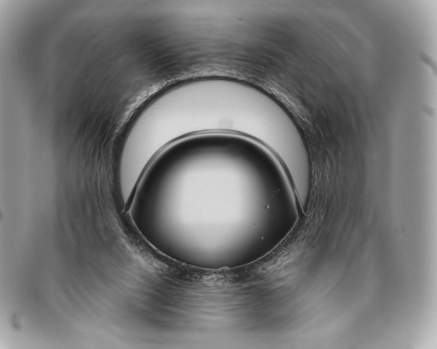X0000096430064200802071735