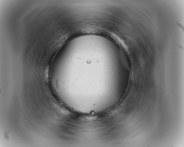 X0000096430065200802071735