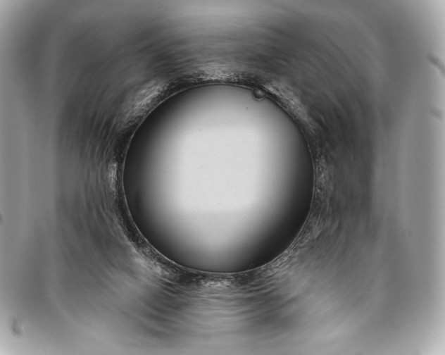 X0000096430066200802071735