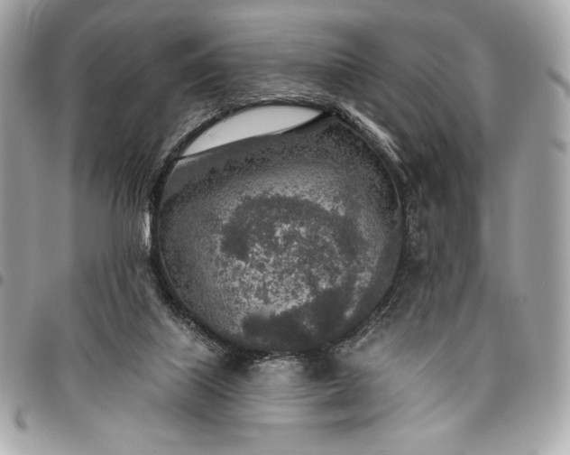 X0000096430067200802071735